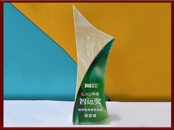 数字服务典范企业